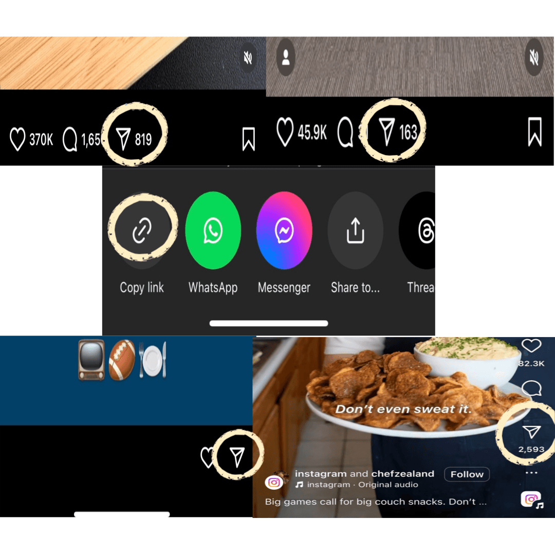 چگونه با SnapInsta دانلود کنیم – نمونه